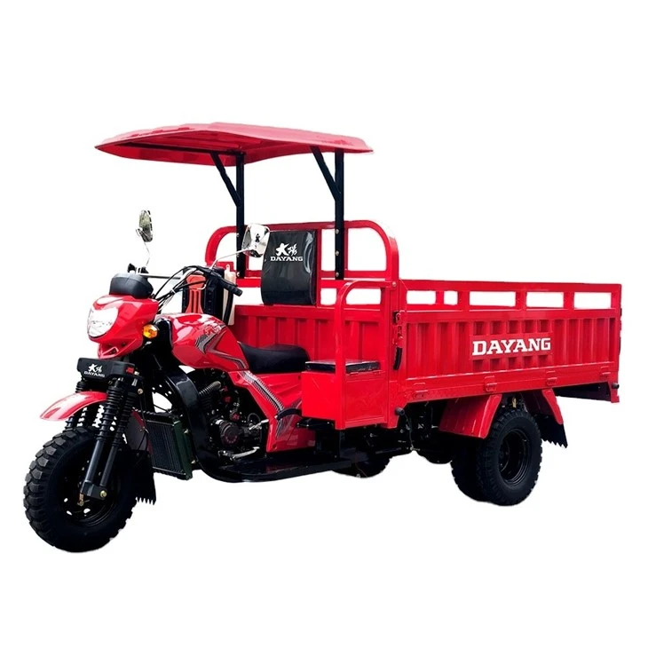 Cargo Tricycle